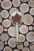 Maple Lollipops